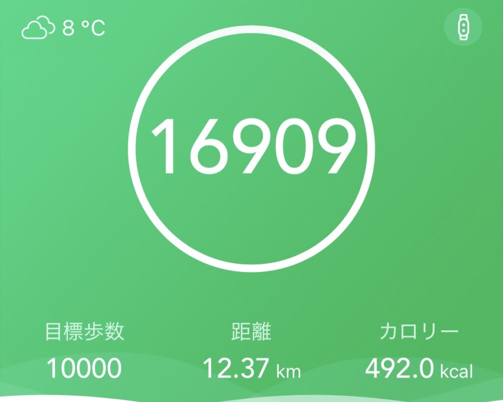 歩数、距離、消費カロリーが記載されている専用アプリの画像